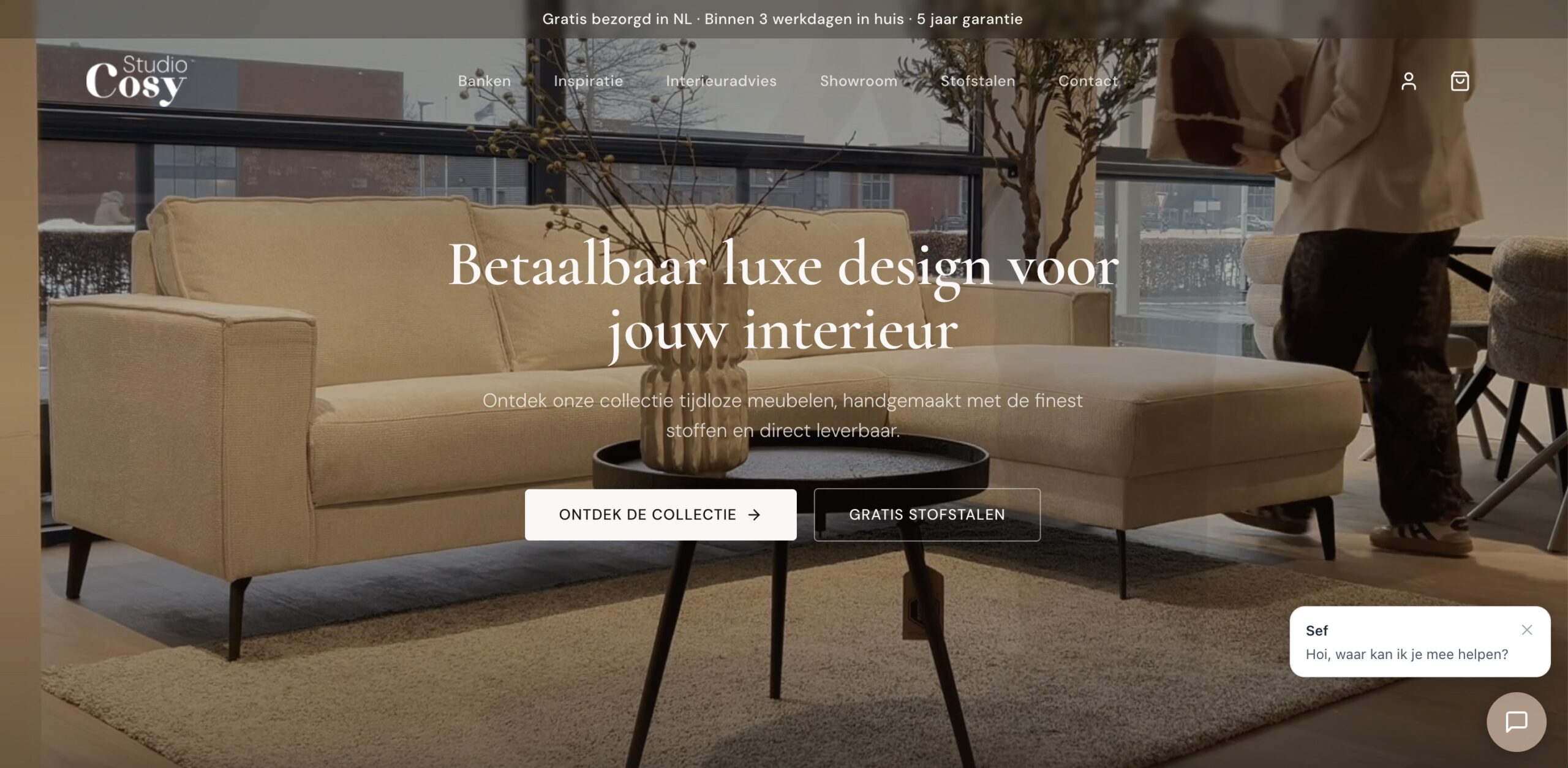 Desktopweergave van Studio Cosy